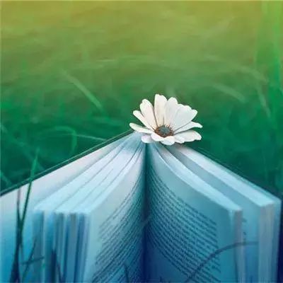 乱斗西游破解版下载