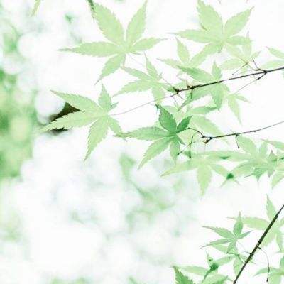 天天打怪游戏下载