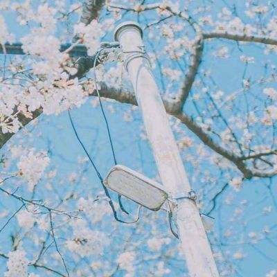 武镇仙途红包版下载