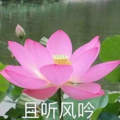 红颜水浒九游官方版下载