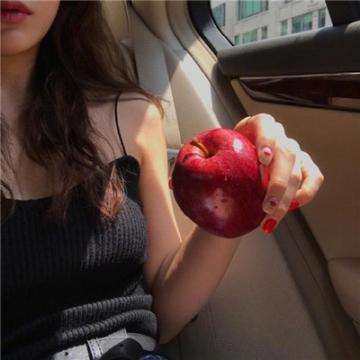 paccat游戏下载